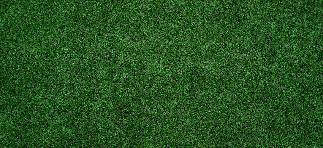 Guest post: REST vs GraphQL